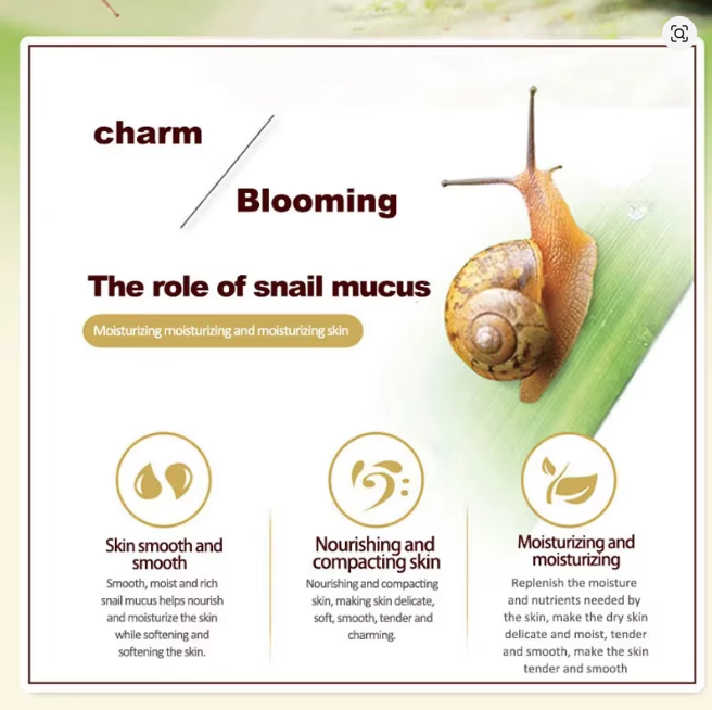 Snail Mucin Anti-Aging Duo – Repair Cream + Eye Roll-On